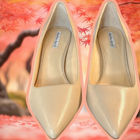 NWOT Charles David ‘Denise’ Pointed-Toe Pumps in Nude Leather Size 11 - Picture 16 of 16